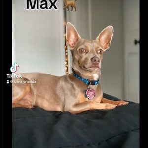 Meet your Posher, Evelinn